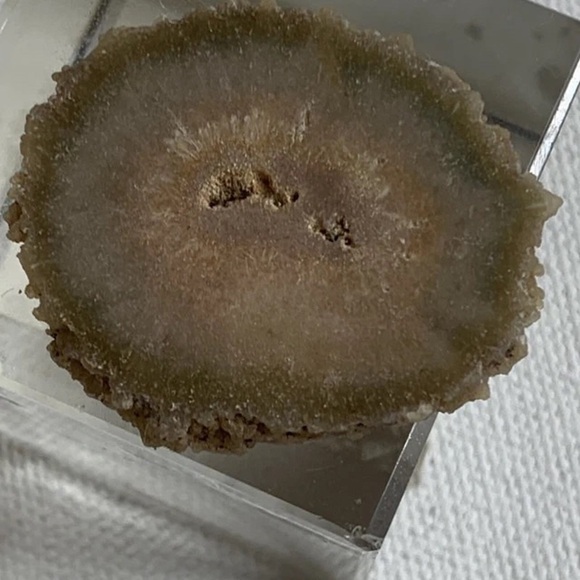 Stalactite Slice Polished Crystal Display Specimen Las Torres Mine Uruguay 1.4" - Picture 1 of 10